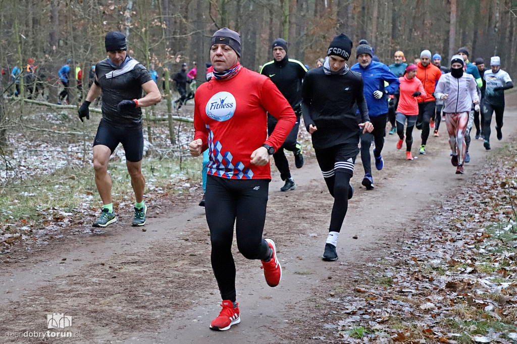parkrun Toruń #234