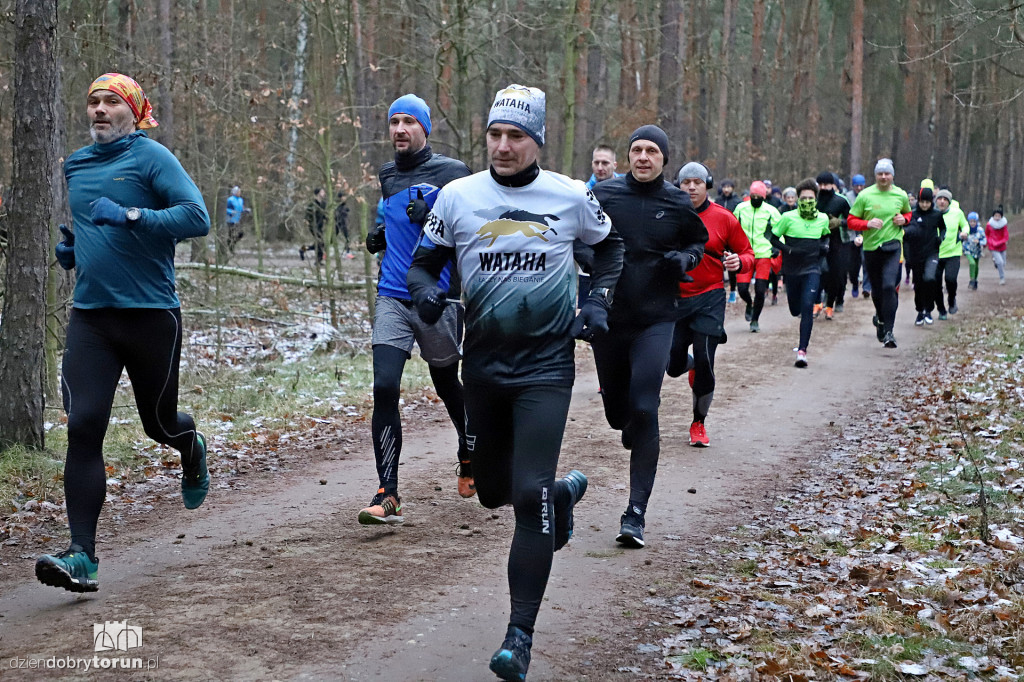 parkrun Toruń #234