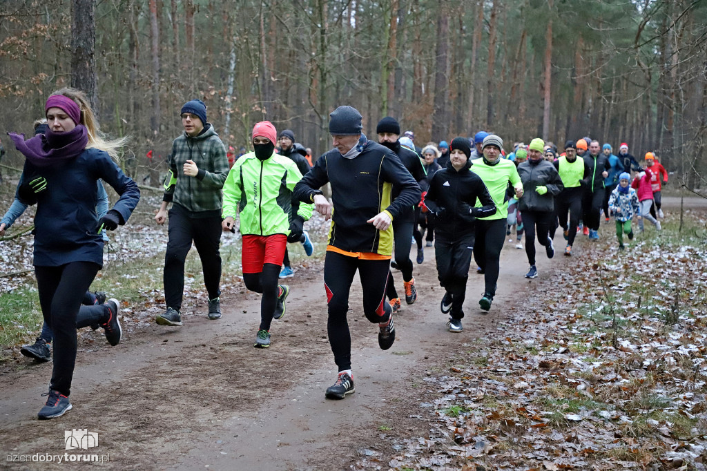 parkrun Toruń #234