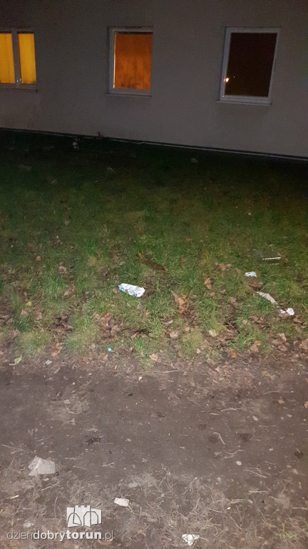 Masa śmieci przy ulicy Drzymały w Toruniu