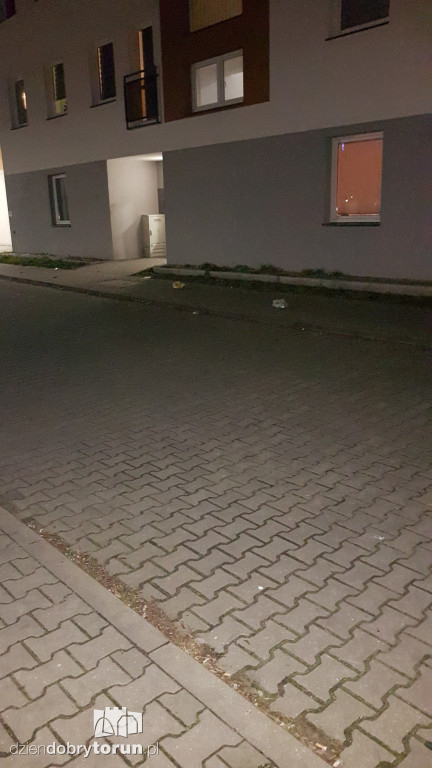 Masa śmieci przy ulicy Drzymały w Toruniu