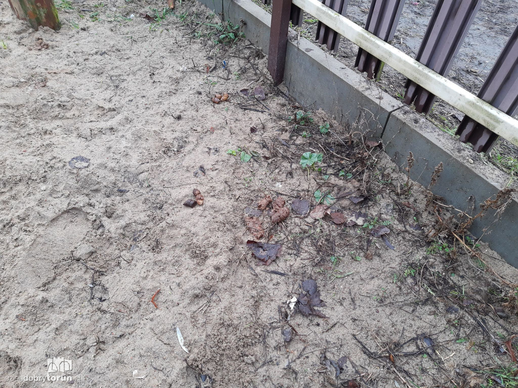 Ohydny widok na toruńskiej Skarpie!