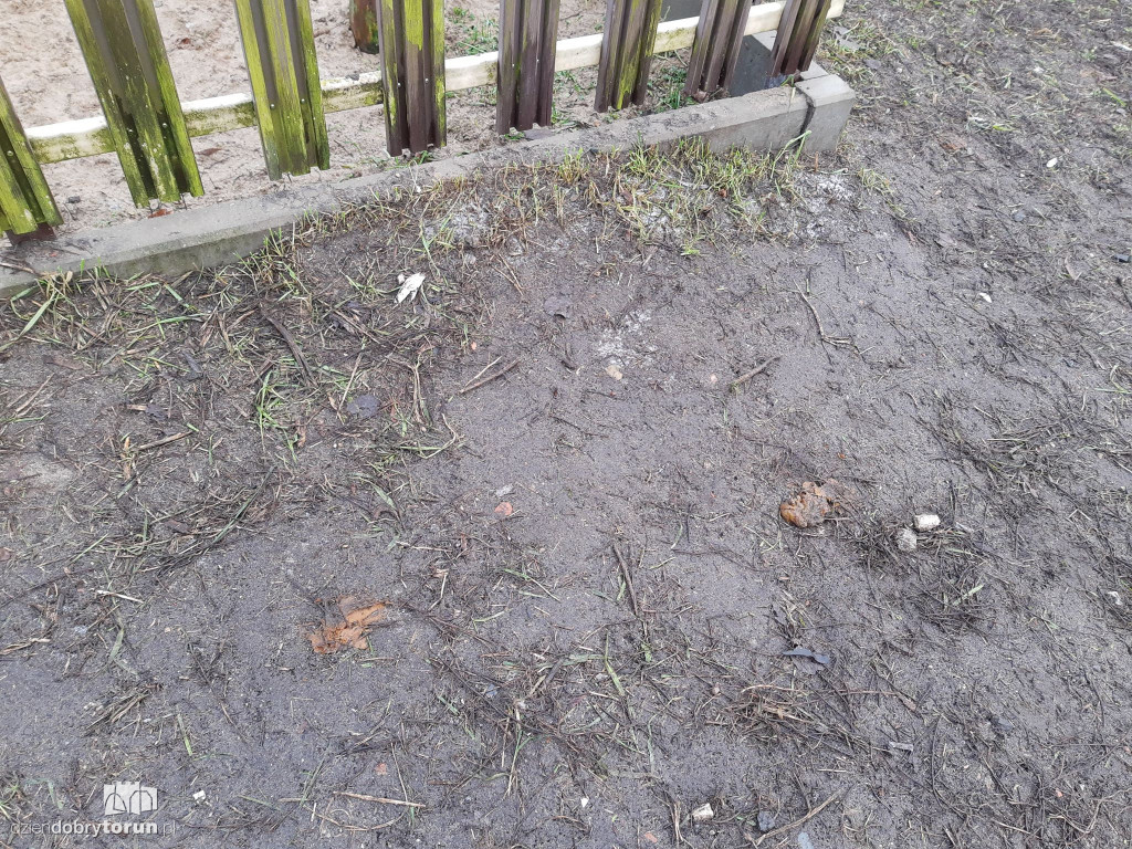Ohydny widok na toruńskiej Skarpie!