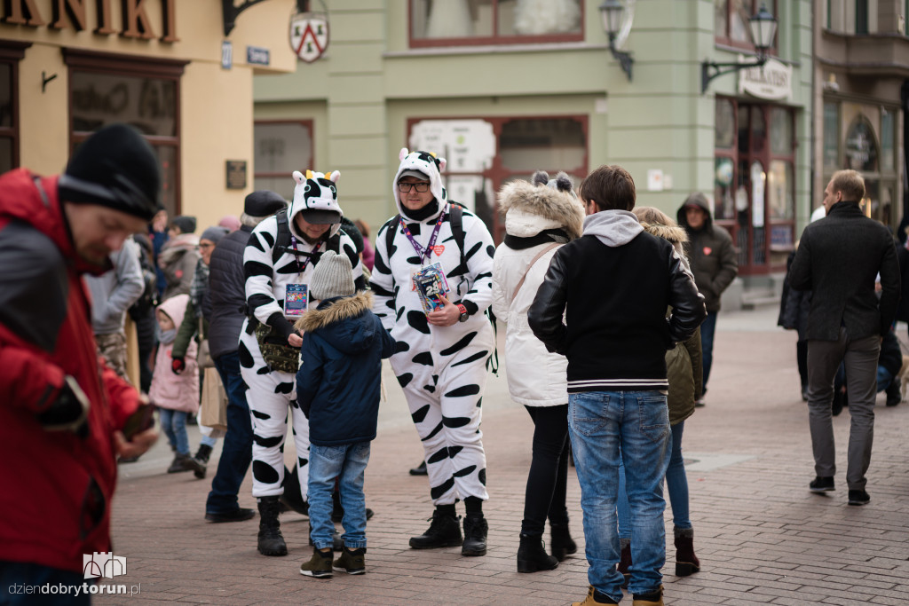 Torunianie hojnie kwestują dla WOŚP