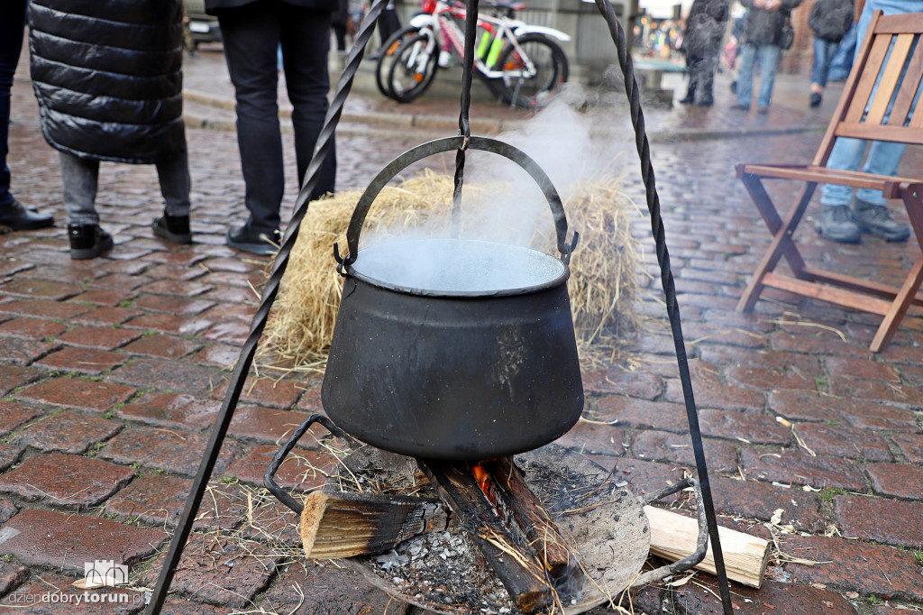 Piknik historyczny Halleriada