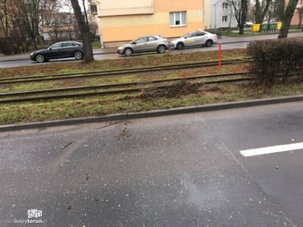 Tir zepchnął seata na torowisko