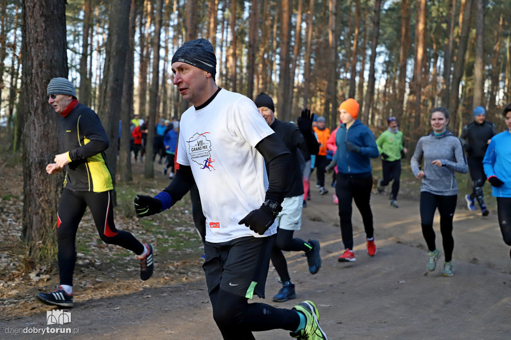 parkrun Toruń #241