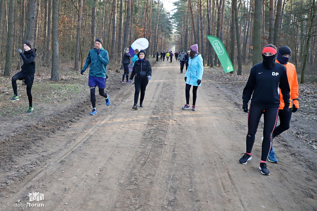 parkrun Toruń #241