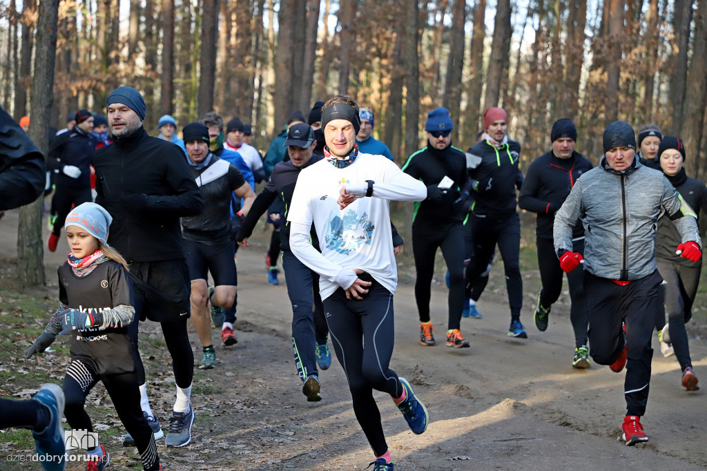 parkrun Toruń #241