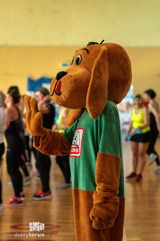 Zumba dla zwierzaków- charytatywny maraton