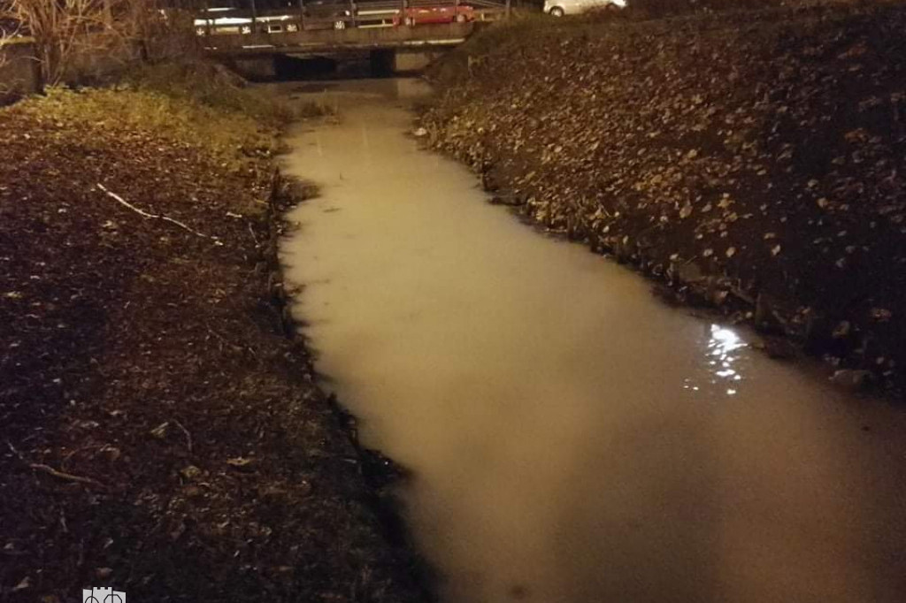 Zanieczyszczenia w Strudze Toruńskiej