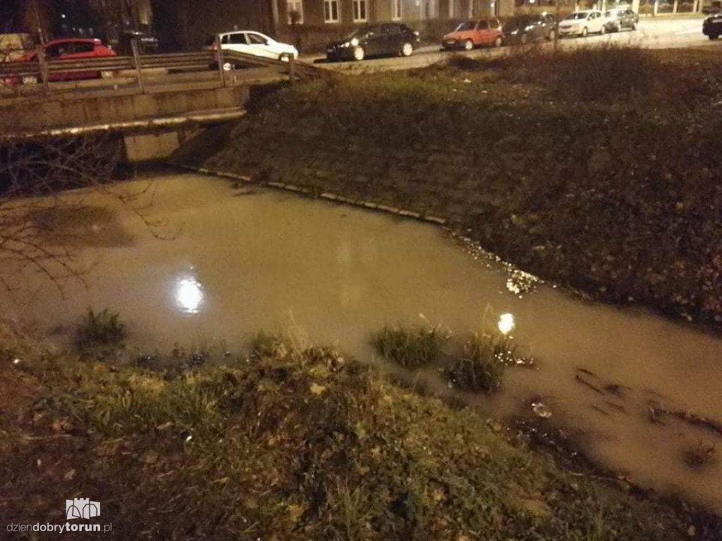 Zanieczyszczenia w Strudze Toruńskiej