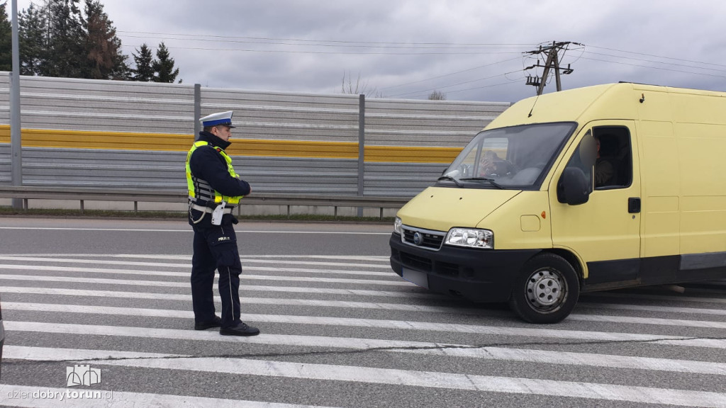 Toruńska drogówka znów skontrolowała kierowców
