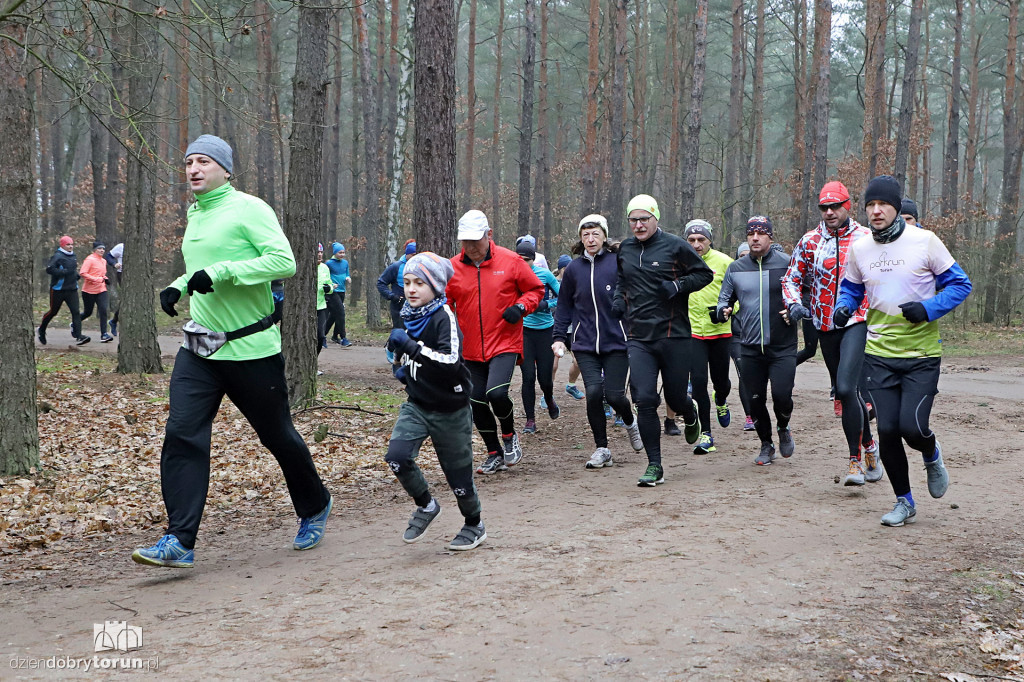 parkrun Toruń #242