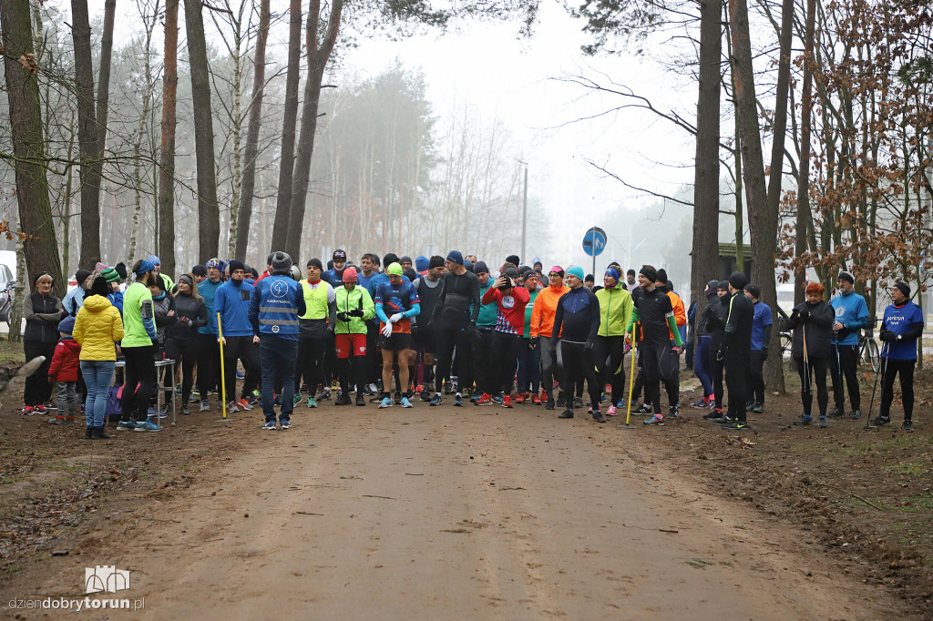 parkrun Toruń #242