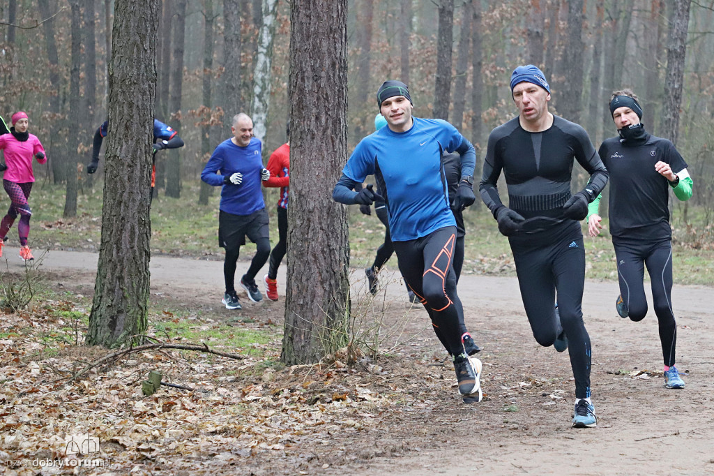 parkrun Toruń #242
