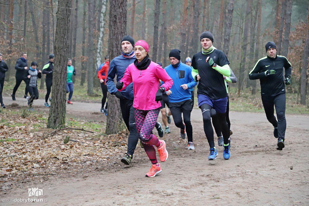 parkrun Toruń #242