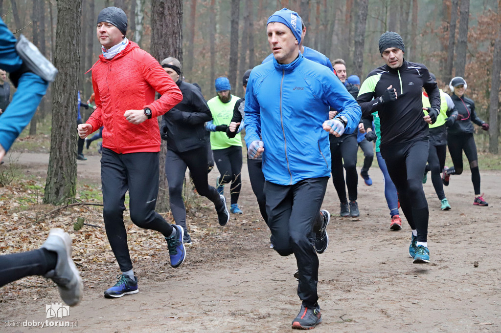 parkrun Toruń #242