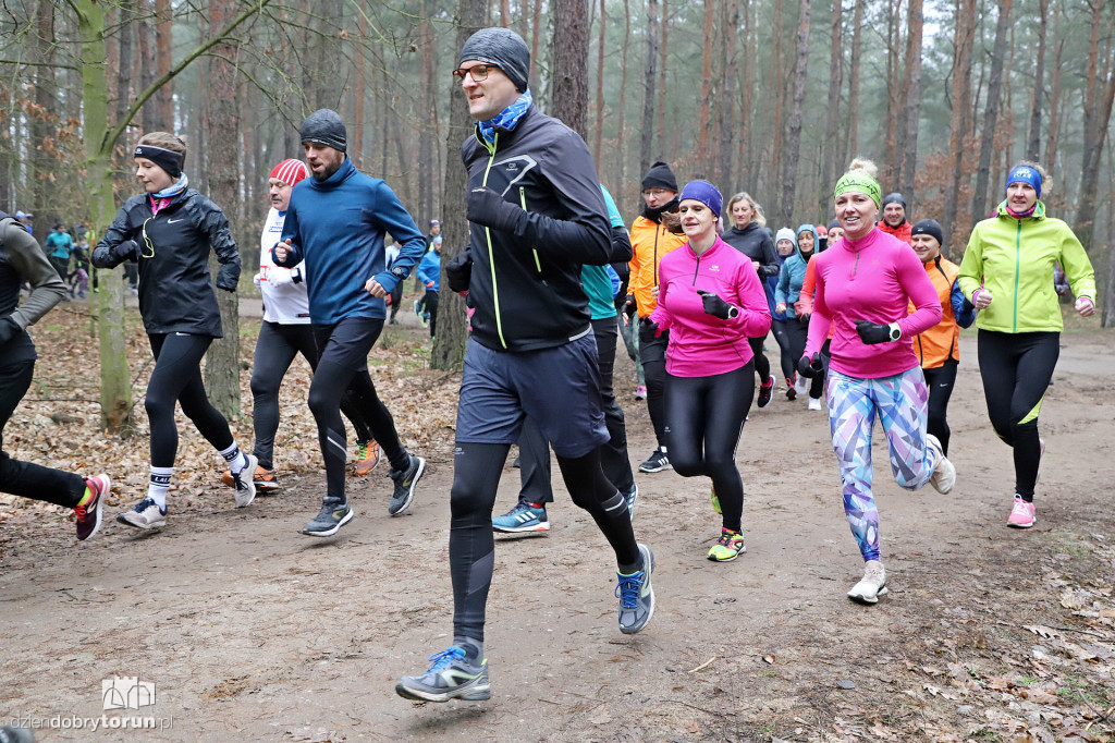 parkrun Toruń #242