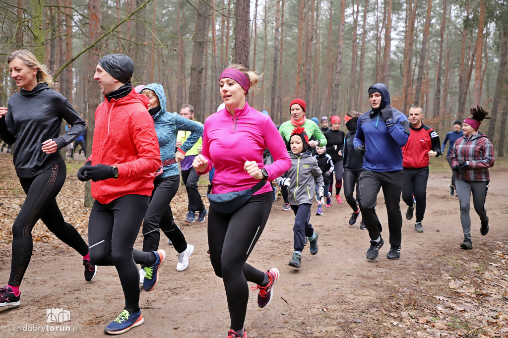 parkrun Toruń #242