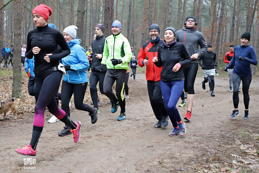 parkrun Toruń #242