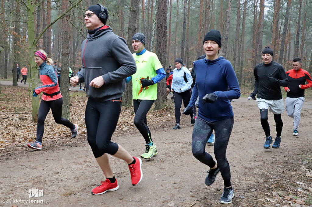 parkrun Toruń #242