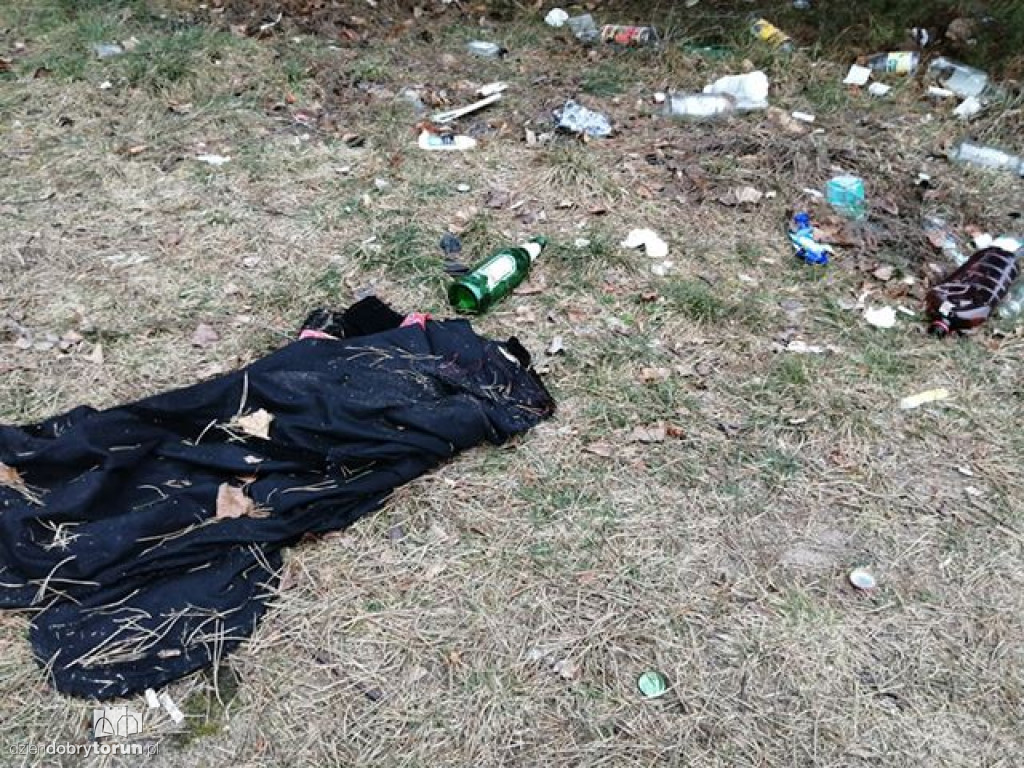 Toruń: śmieci nieopodal ulicy Krętej