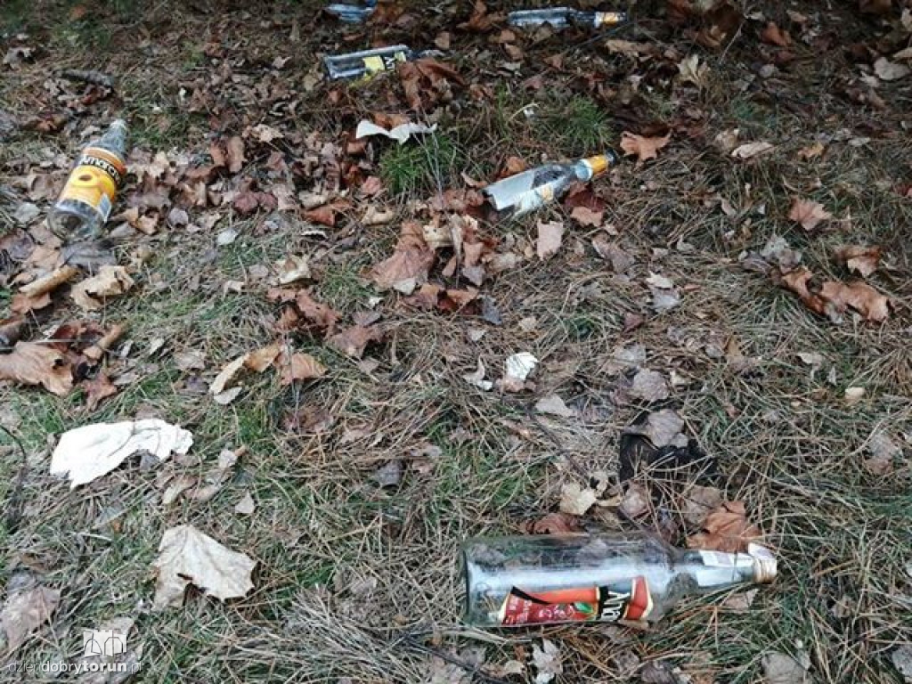 Toruń: śmieci nieopodal ulicy Krętej