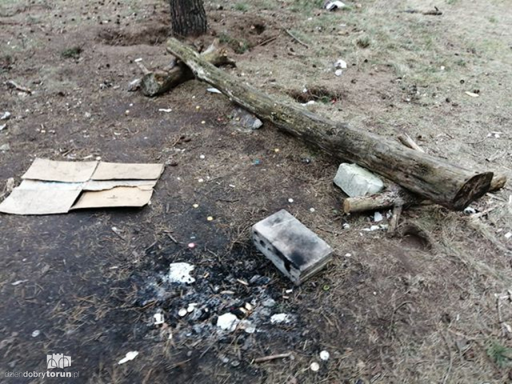 Toruń: śmieci nieopodal ulicy Krętej