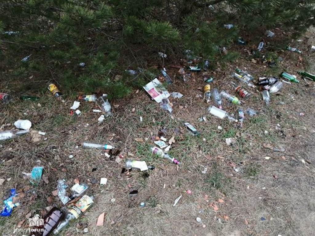 Toruń: śmieci nieopodal ulicy Krętej