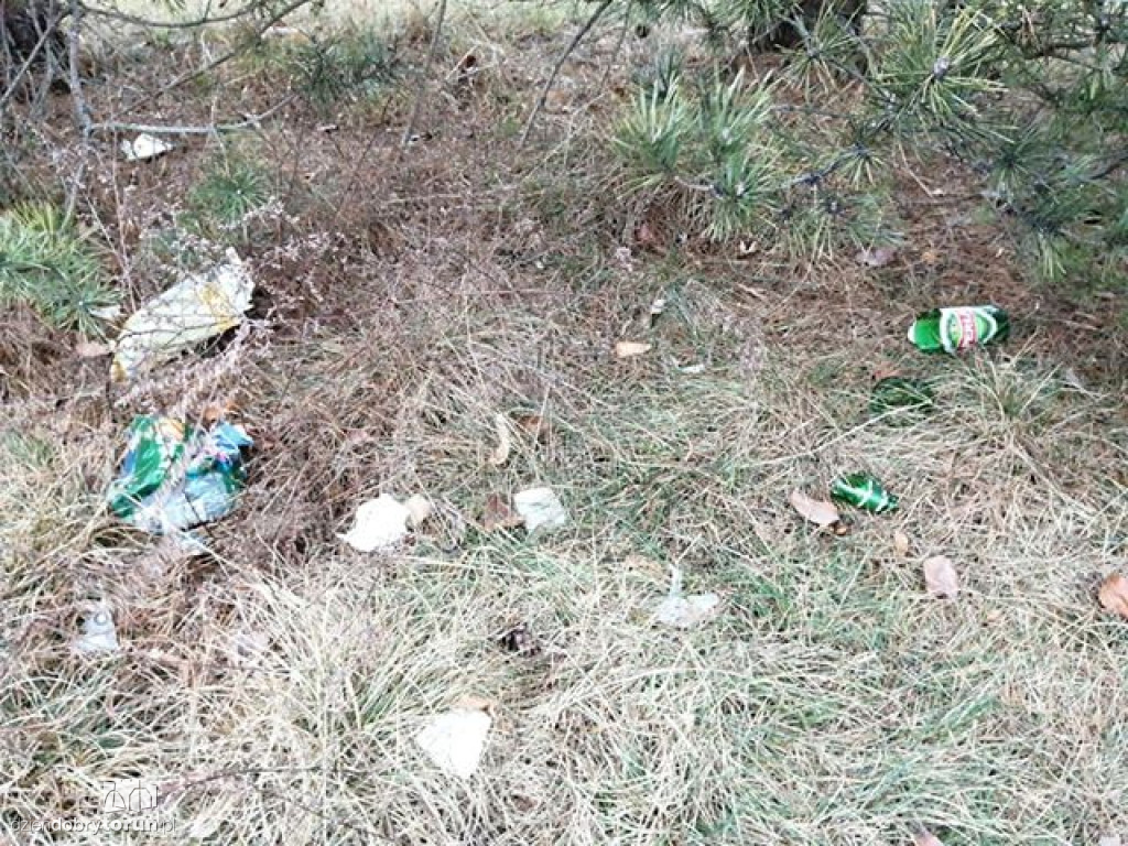 Toruń: śmieci nieopodal ulicy Krętej