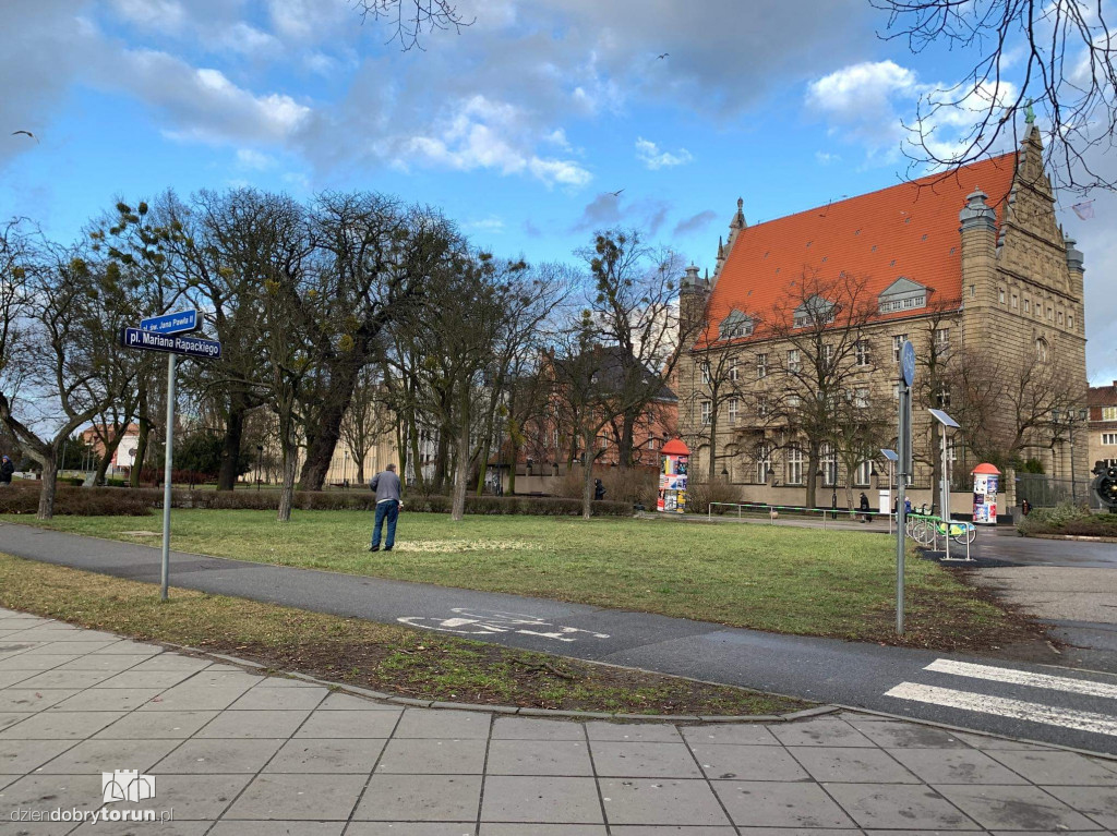 Tak dokarmiają gołębie w centrum miasta