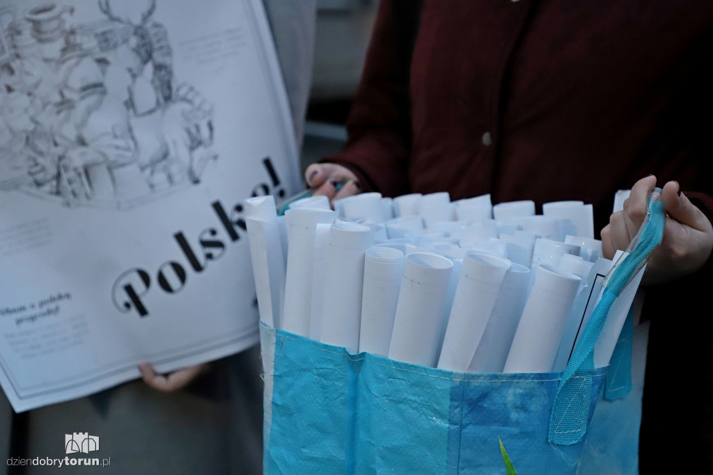 Młodzież Wszechpolska rozdawała plakaty