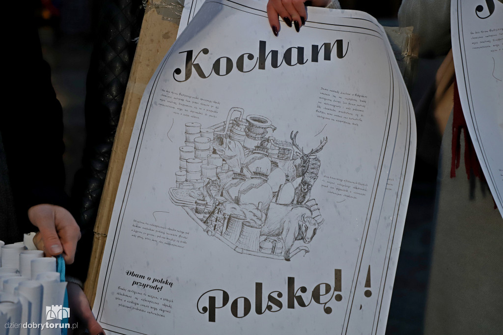 Młodzież Wszechpolska rozdawała plakaty