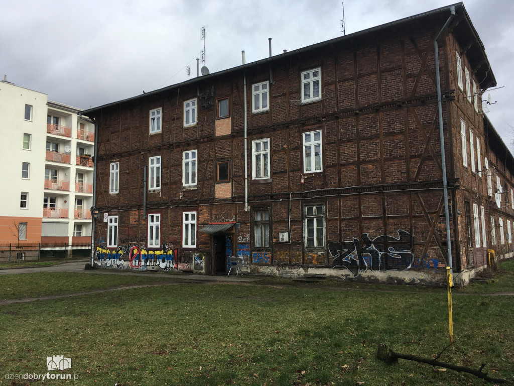 Szczury na Bydgoskim Przedmieściu
