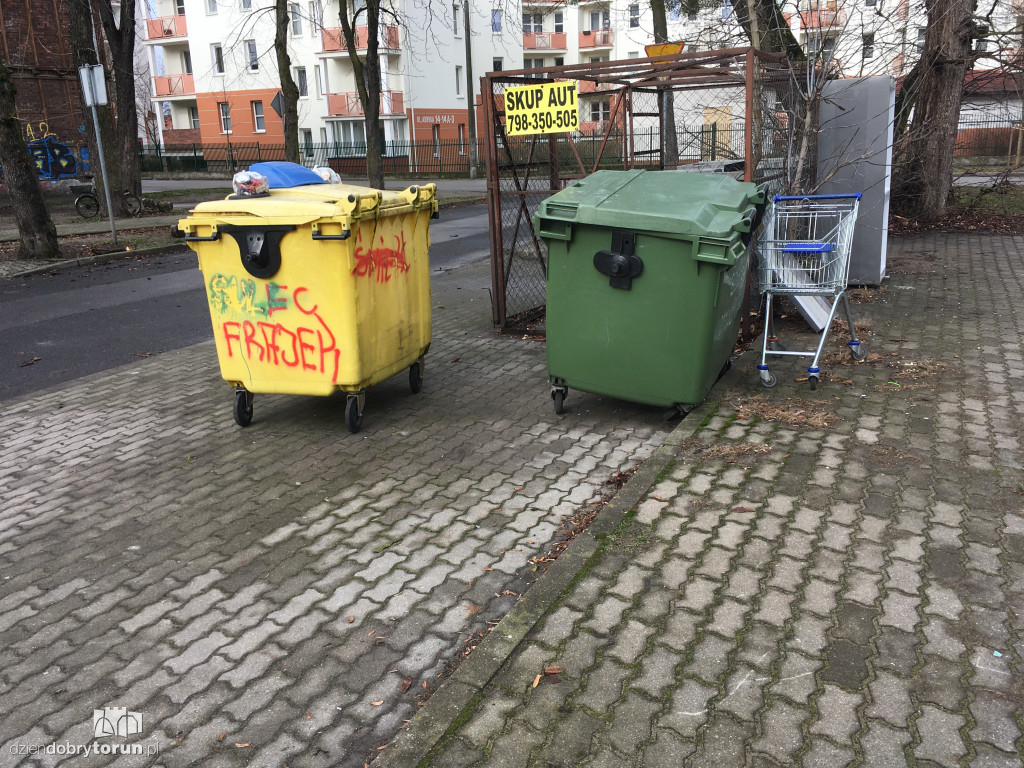 Szczury na Bydgoskim Przedmieściu