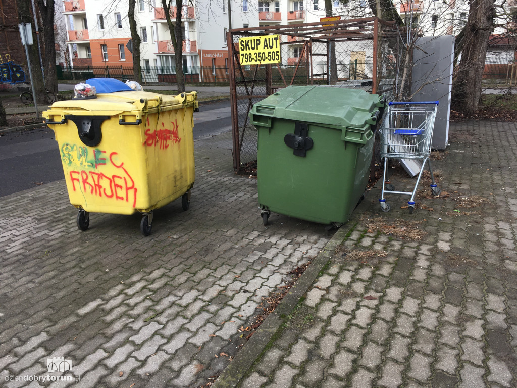 Szczury na Bydgoskim Przedmieściu