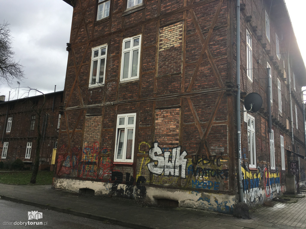 Szczury na Bydgoskim Przedmieściu
