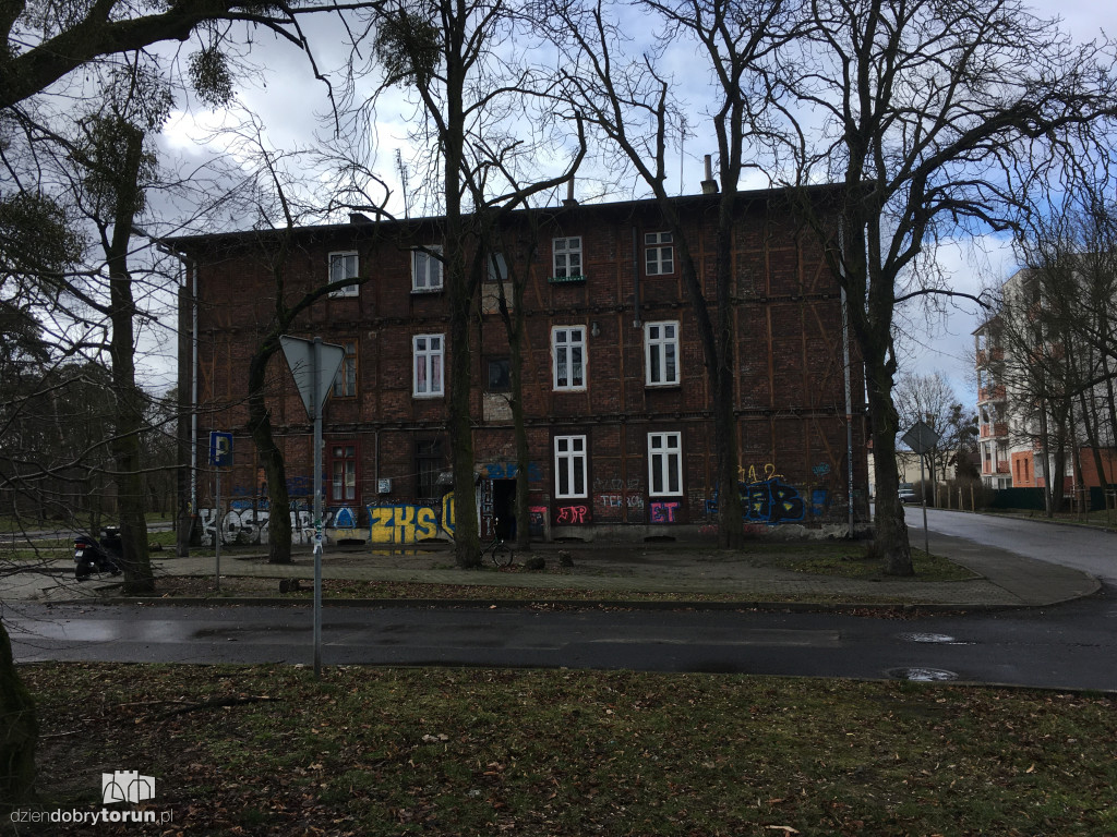 Szczury na Bydgoskim Przedmieściu