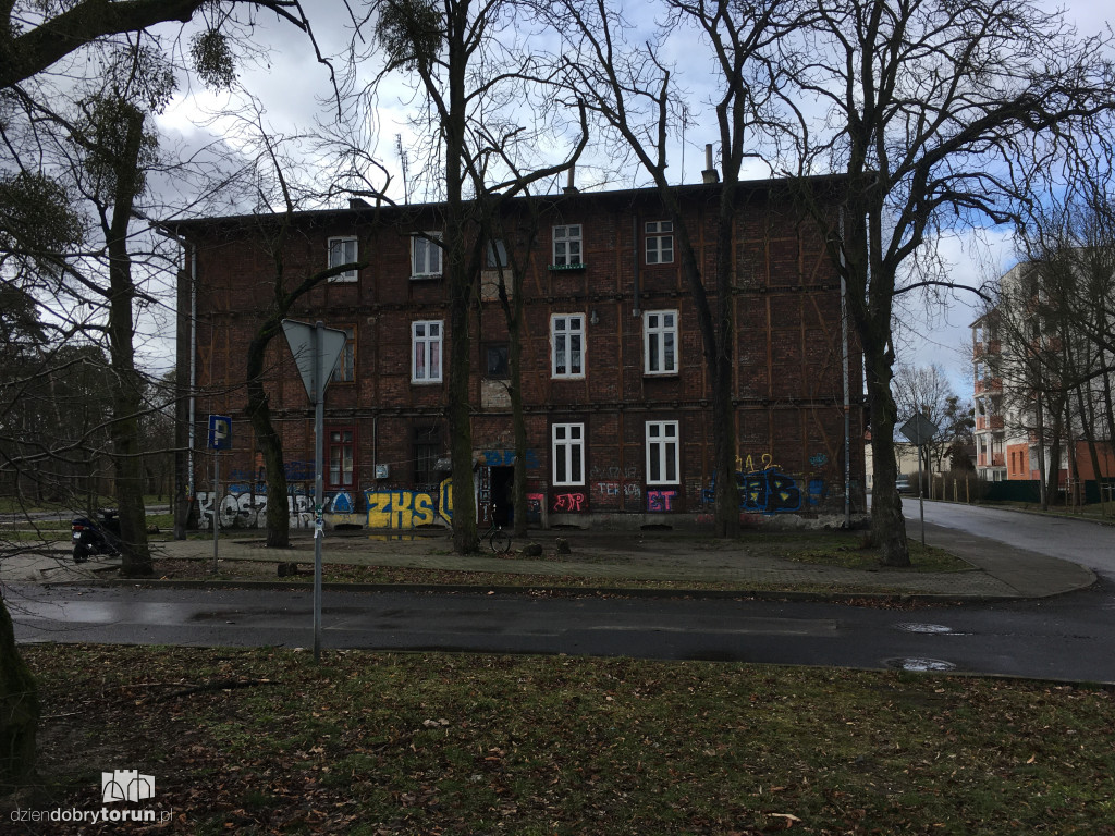 Szczury na Bydgoskim Przedmieściu