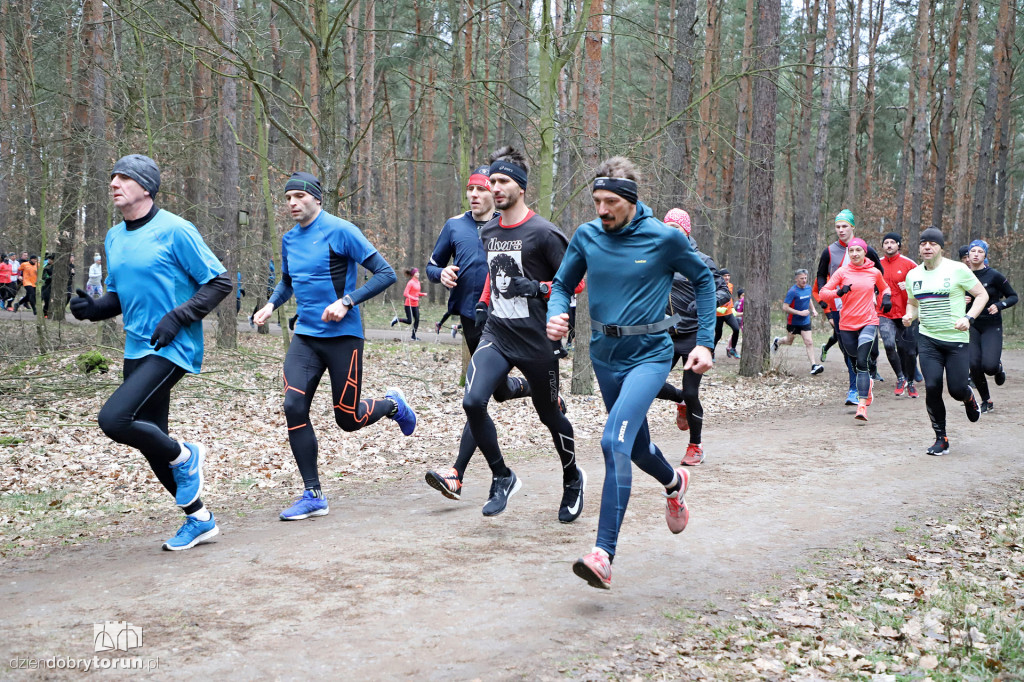 parkrun Toruń #243