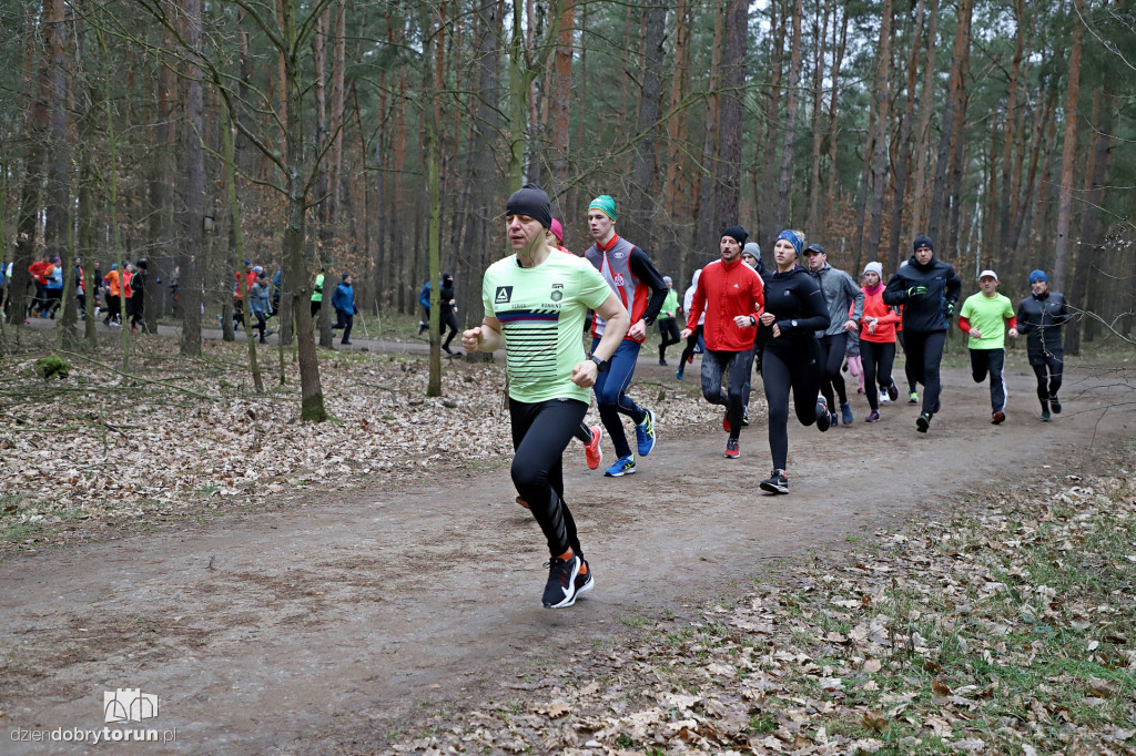 parkrun Toruń #243