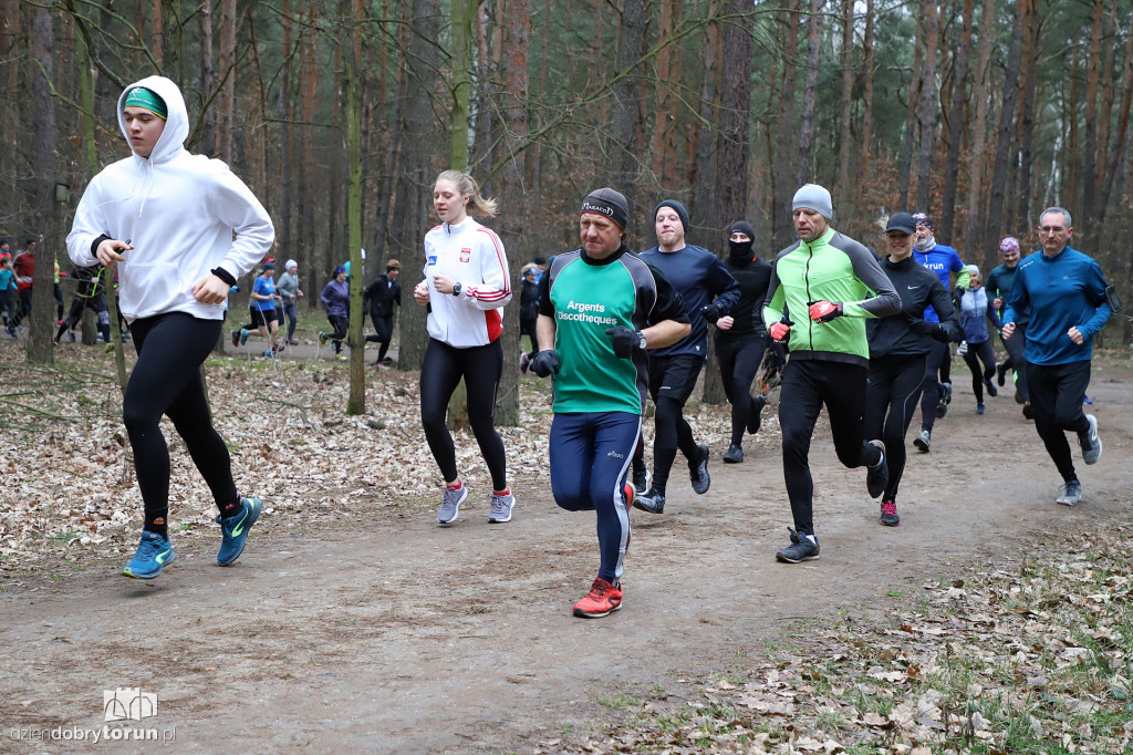 parkrun Toruń #243