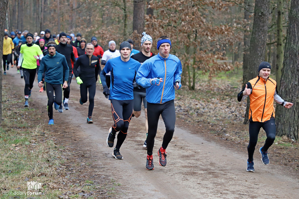 parkrun Toruń #244 - bieg na 5km po lesie