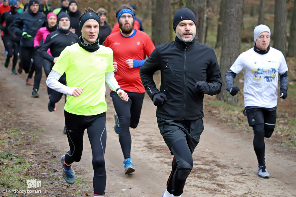 parkrun Toruń #244 - bieg na 5km po lesie
