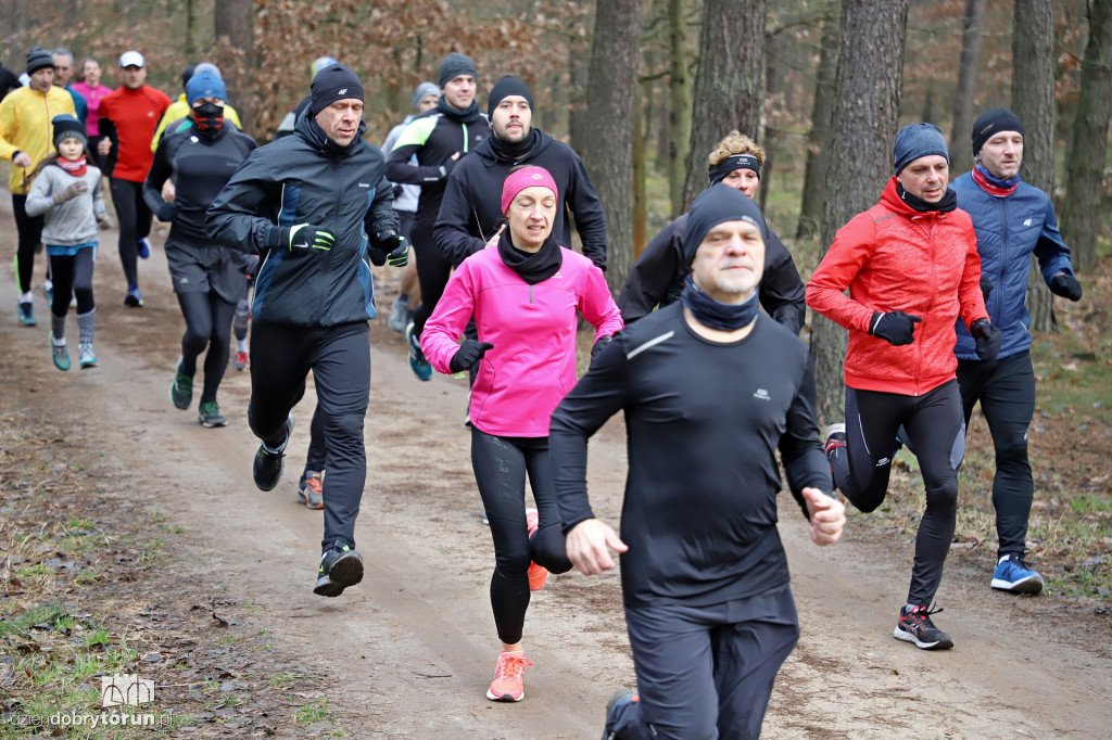 parkrun Toruń #244 - bieg na 5km po lesie