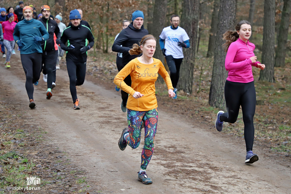 parkrun Toruń #244 - bieg na 5km po lesie