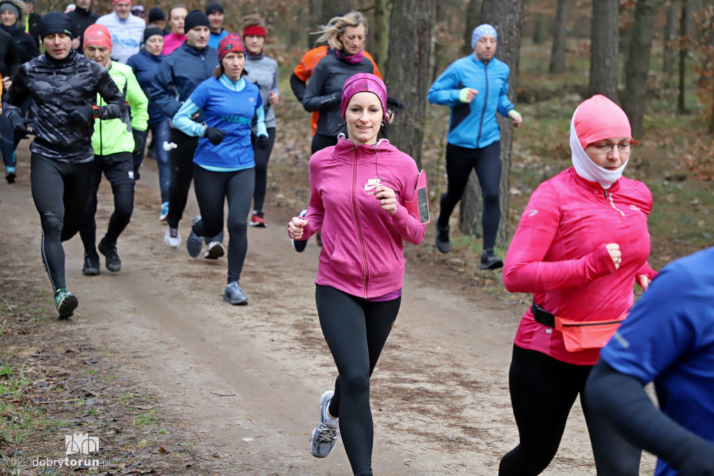 parkrun Toruń #244 - bieg na 5km po lesie