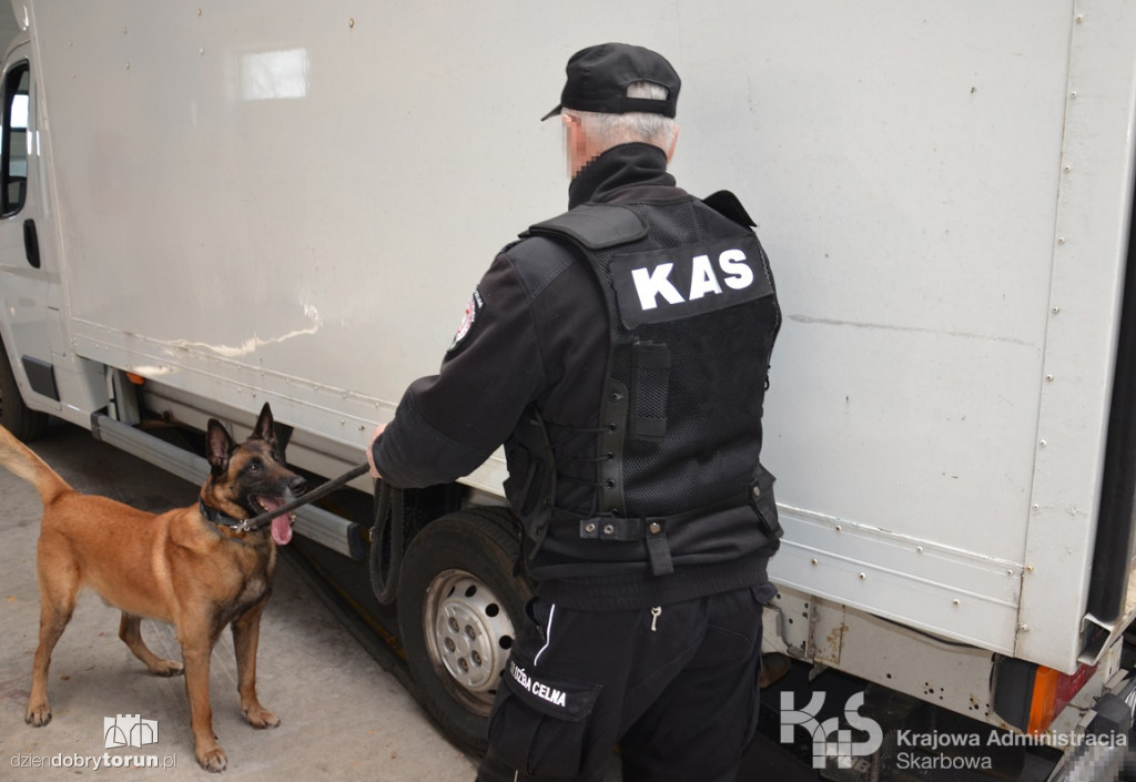 Akcja KAS na bramkach na A1 pod Toruniem