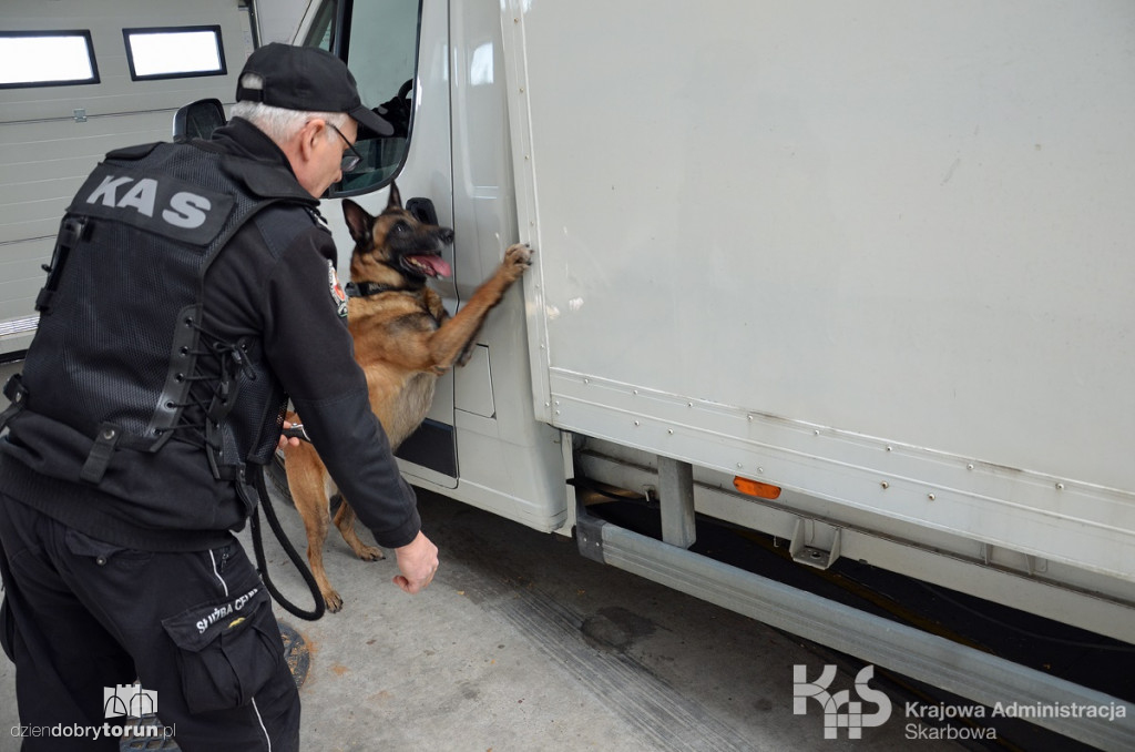 Akcja KAS na bramkach na A1 pod Toruniem